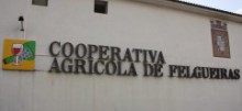 Cooperativa Agricola de Felgueiras