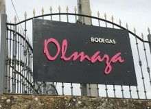 Винодельня Bodegas Olmaza